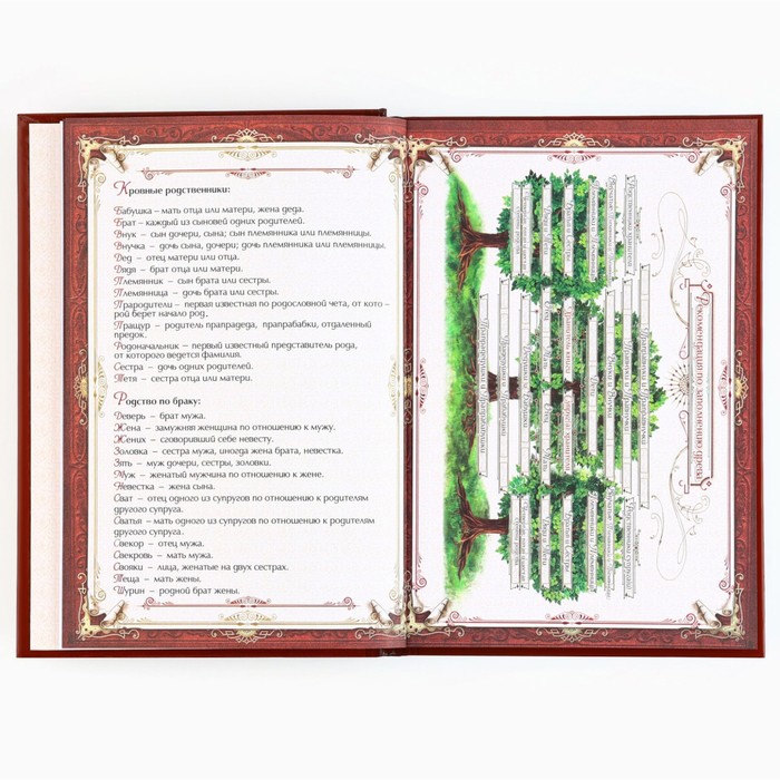 Новогодняя родословная книга «Новый год: Каждый день» 17 х 2 х 23,7 см 9867076