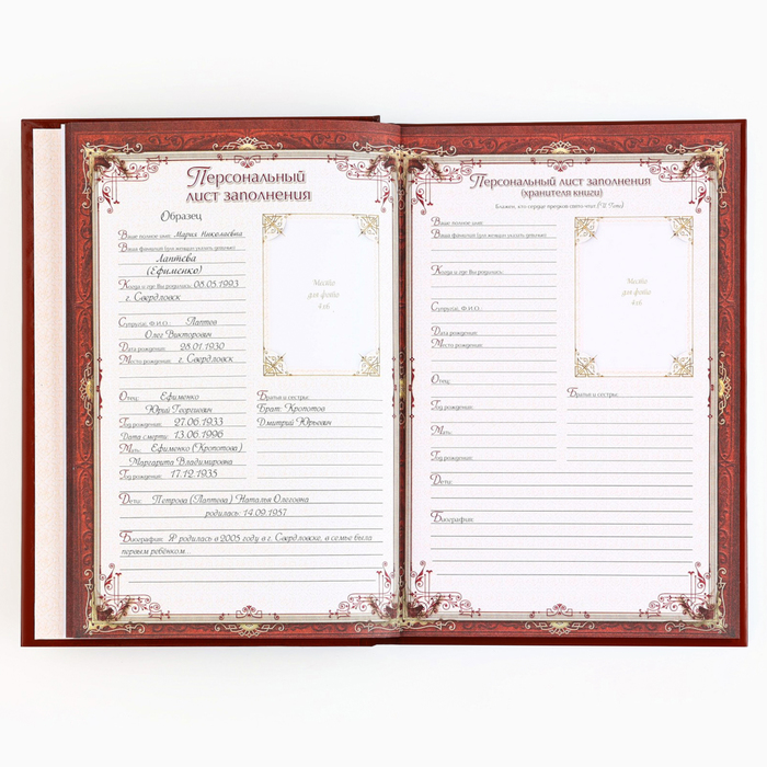 Новогодняя родословная книга «Новый год: Каждый день» 17 х 2 х 23,7 см 9867076