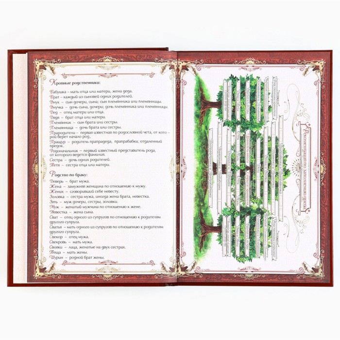 Новогодняя родословная книга «Новый год: Дед Мороз» 17 х 2 х 23,7 см 9867077