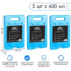 Аккумулятор холода гелевый «Мастер К», набор 3 шт., 600 мл, 20×30 см - Фото 1