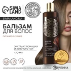 Бальзам для волос, комплекс масел и экстрактов, питание и сияние, 470 мл, URAL LAB - Фото 1