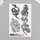 Татуировка на тело "Змеи и девушка" 10х15 см - фото 321560606