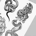 Татуировка на тело "Змеи и девушка" 10х15 см - фото 9744525