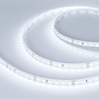 Светодиодная лента Arlight 8х1 мм, 5 м, IP20, 2835, 120 LED/м, 9 Вт/м, 24 В, 6000К, свечение холодное белое - фото 4326418