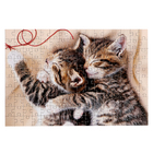 Пазл «Мяу-котики», 160 элементов - фото 23998888