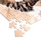 Пазл «Мяу-котики», 160 элементов - фото 23998889