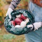 Контейнер садовый, складной, 20 л, 30 × 35 см, с ручками, полиэфирная ткань, Greengo - Фото 5