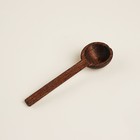 Банка для сыпучих SL Home «Южная акация», 400 мл, 10.5×9×13 см, с ложкой, стекло, прозрачная - Фото 5