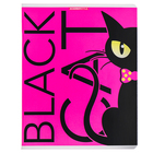 Тетрадь 48 листов в клетку "Черный кот", обложка мелованный картон, флуоресцентные краски, МИКС - фото 24061889