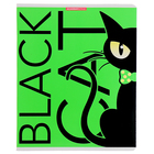 Тетрадь 48 листов в клетку "Черный кот", обложка мелованный картон, флуоресцентные краски, МИКС - фото 24061893