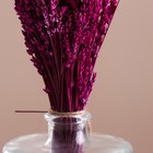 Набор сухоцветов "Лаванда" банч длина 30 (+/- 6 см), розовый - Фото 2