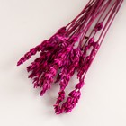 Набор сухоцветов "Лаванда" банч длина 30 (+/- 6 см), розовый - Фото 3