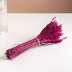 Набор сухоцветов "Лаванда" банч длина 30 (+/- 6 см), розовый - Фото 5
