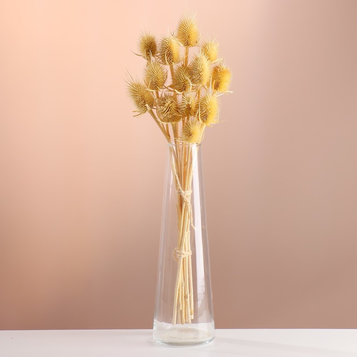 Набор сухоцветов "Ворсянка", банч 7-8 шт, длина 50 (+/- 6)  см, выбеленный - Фото 1