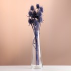 Набор сухоцветов "Ворсянка", банч 7-8 шт, длина 50 (+/- 6 см), фиолетовый - фото 321519333