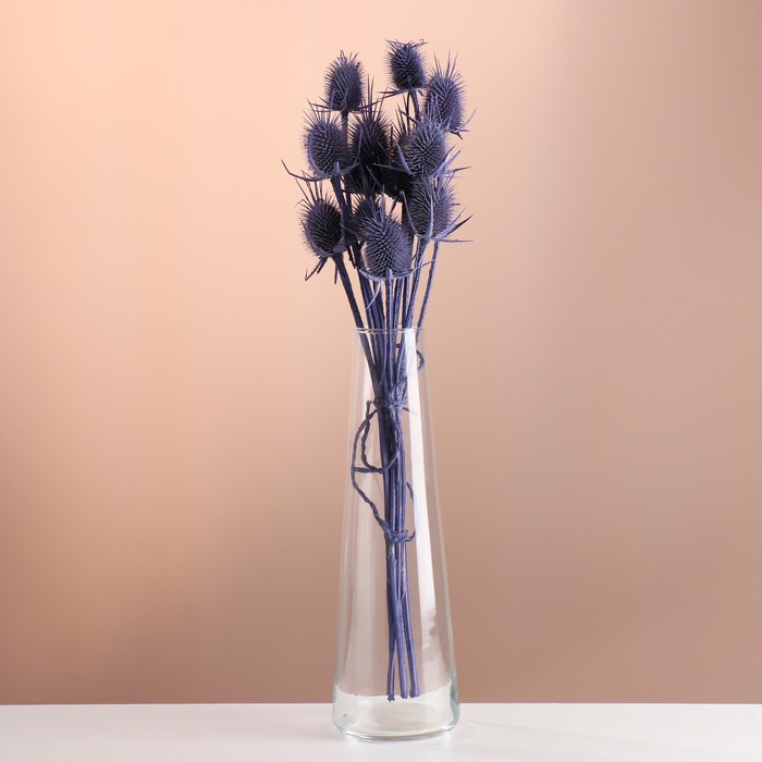Набор сухоцветов "Ворсянка", банч 7-8 шт, длина 50 (+/- 6 см), фиолетовый