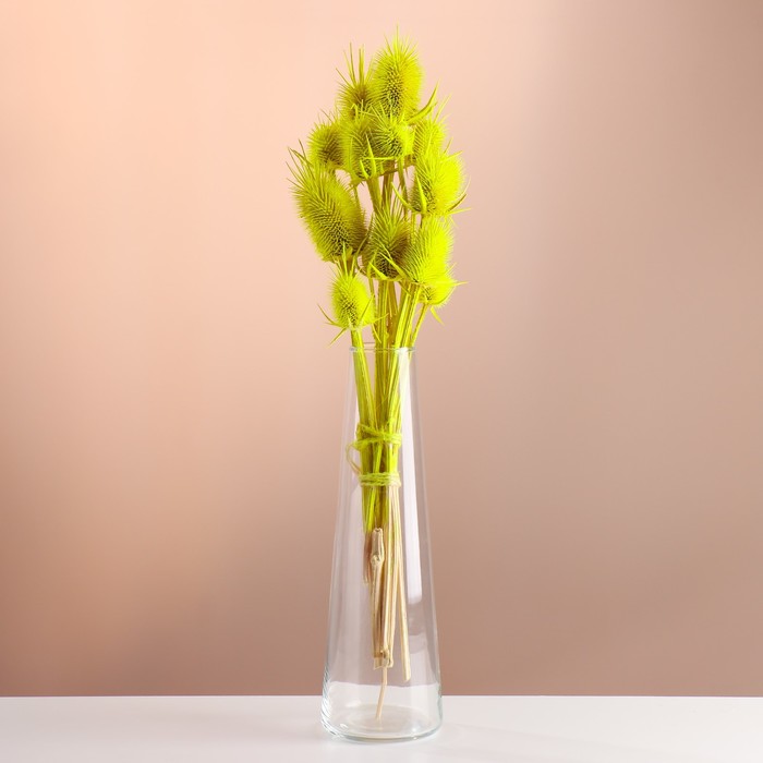 Набор сухоцветов "Ворсянка", банч 7-8 шт, длина 50 (+/- 6 см), ярко-желтый - Фото 1
