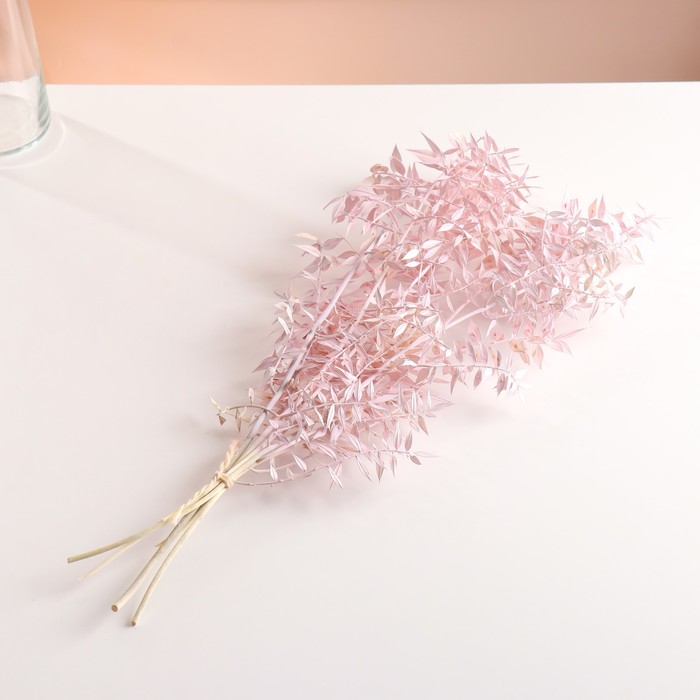 Набор сухоцветов "Рускус", банч 5-6 шт, длина 50-60 (+/- 6 см), розовый