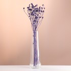 Набор сухоцветов "Эрингиум", банч 5 шт, длина 50 (+/- 6 см), фиолетовый - фото 321519390