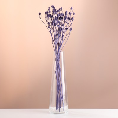 Набор сухоцветов "Эрингиум", банч 5 шт, длина 50 (+/- 6 см), фиолетовый