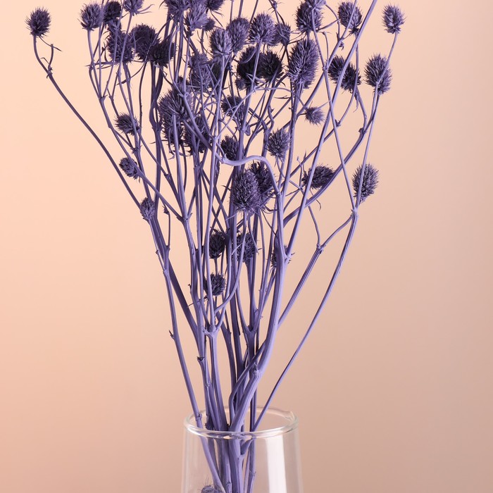 Набор сухоцветов "Эрингиум", банч 5 шт, длина 50 (+/- 6 см), фиолетовый