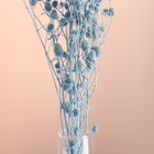Набор сухоцветов "Эрингиум", банч 5 шт, длина 50 (+/- 6 см), голубой - Фото 2
