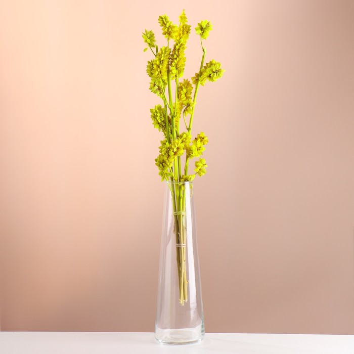 Набор сухоцветов "Солодка", банч 3 шт, длина 50  (+/- 6 см), ярко-желтый - Фото 1