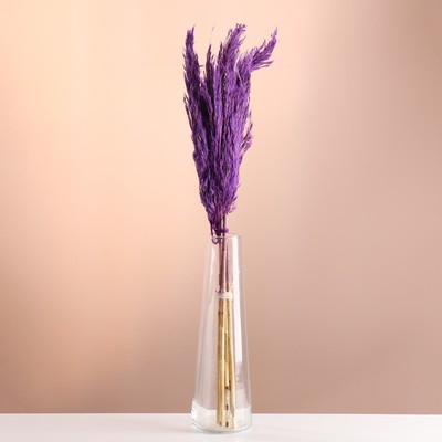 Набор сухоцветов "Камыш", банч длина 65 (+/- 6 см), фиолетовый