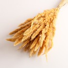 Набор сухоцветов "Вейник", банч длина 60 (+/- 6 см), натуральный - фото 24000871