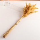 Набор сухоцветов "Вейник", банч длина 60 (+/- 6 см), натуральный - фото 24000872