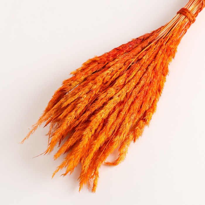 Набор сухоцветов "Вейник", банч длина 65 (+/- 6 см), оранжевый