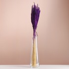 Набор сухоцветов "Вейник", банч длина 65 (+/- 6 см), фиолетовый - Фото 1