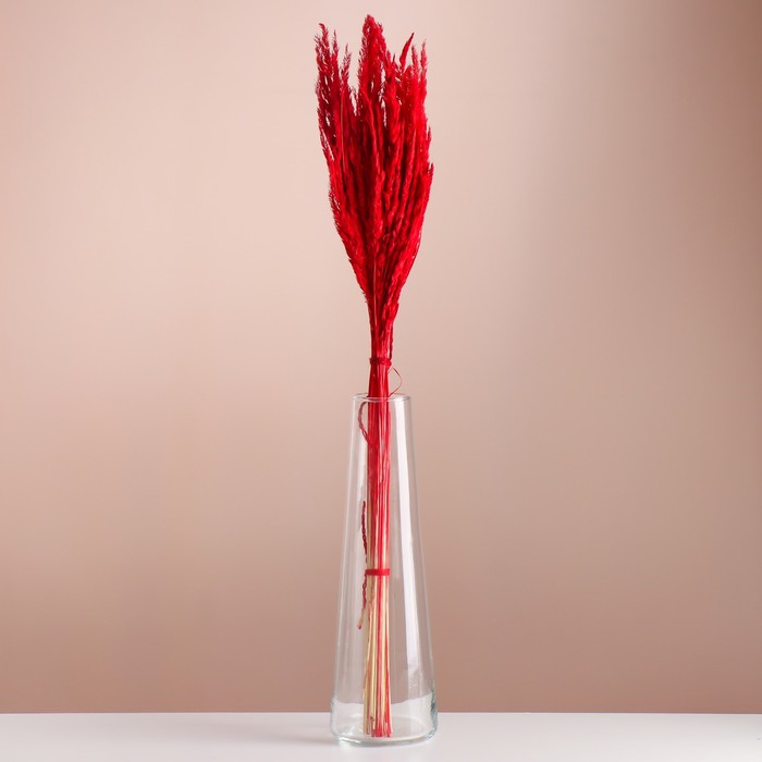 Набор сухоцветов "Вейник", банч длина 65 (+/- 6 см), красный - Фото 1