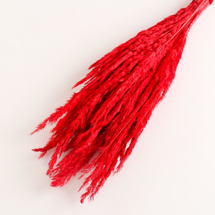 Набор сухоцветов "Вейник", банч длина 65 (+/- 6 см), красный