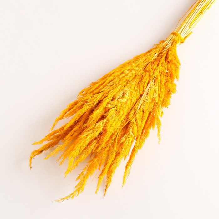 Набор сухоцветов "Вейник", банч длина 65 (+/- 6 см), желтый