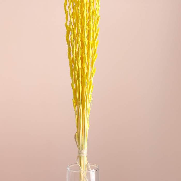 Набор сухоцветов "Райграс", банч 21 шт, длина 60 (+/- 6 см), желтый
