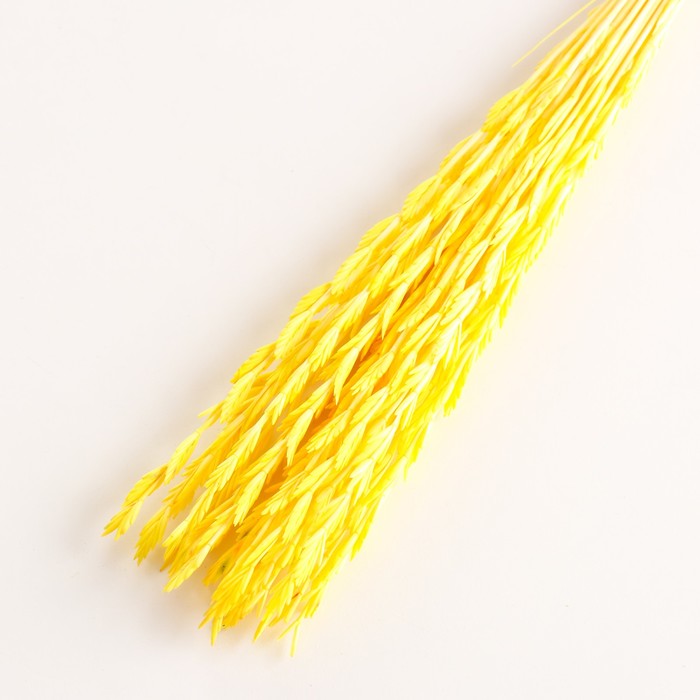 Набор сухоцветов "Райграс", банч 21 шт, длина 60 (+/- 6 см), желтый