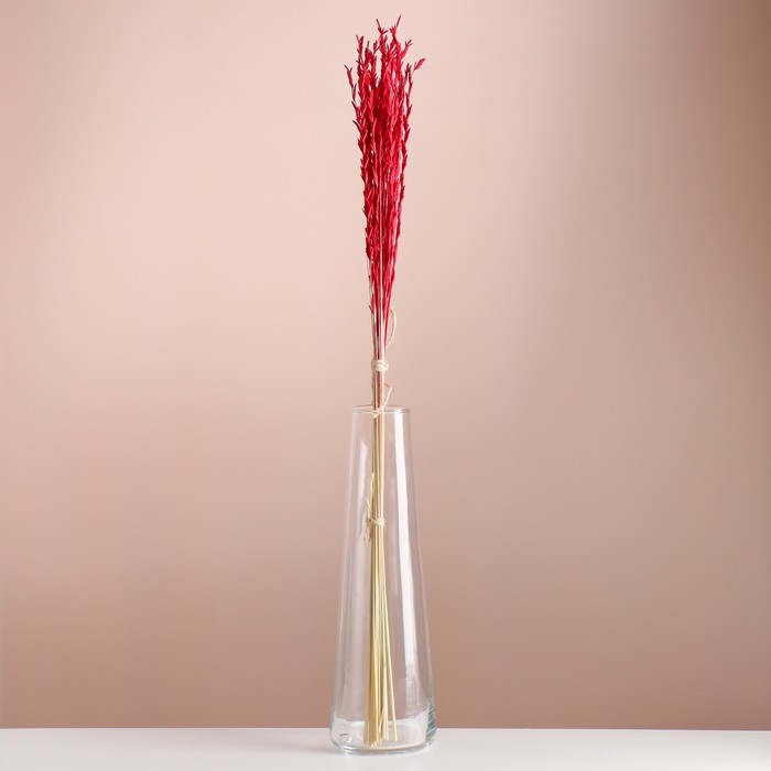 Набор сухоцветов "Райграс", банч 21 шт, длина 60 (+/- 6 см), красный - Фото 1