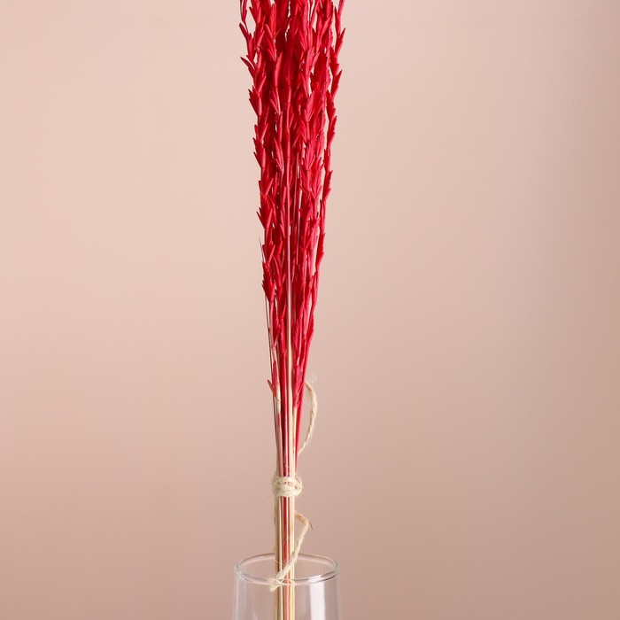 Набор сухоцветов "Райграс", банч 21 шт, длина 60 (+/- 6 см), красный