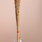 Набор сухоцветов "Райграс", банч 21 шт, длина 60 (+/- 6 см), оранжевый - Фото 2