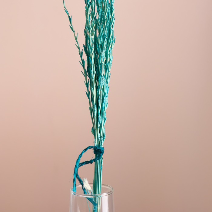 Набор сухоцветов "Райграс", банч 21 шт, длина 60 (+/- 6 см), бирюзовый