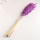 Набор сухоцветов "Овес", банч длина 60-65 (+/- 6 см), сиреневый - фото 24000937