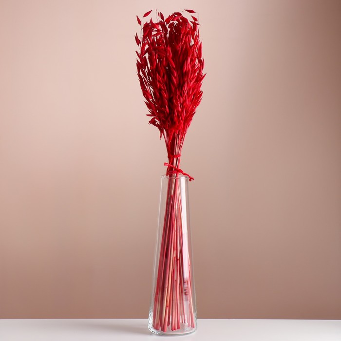 Набор сухоцветов "Овес", банч длина 60-65 (+/- 6 см), красный