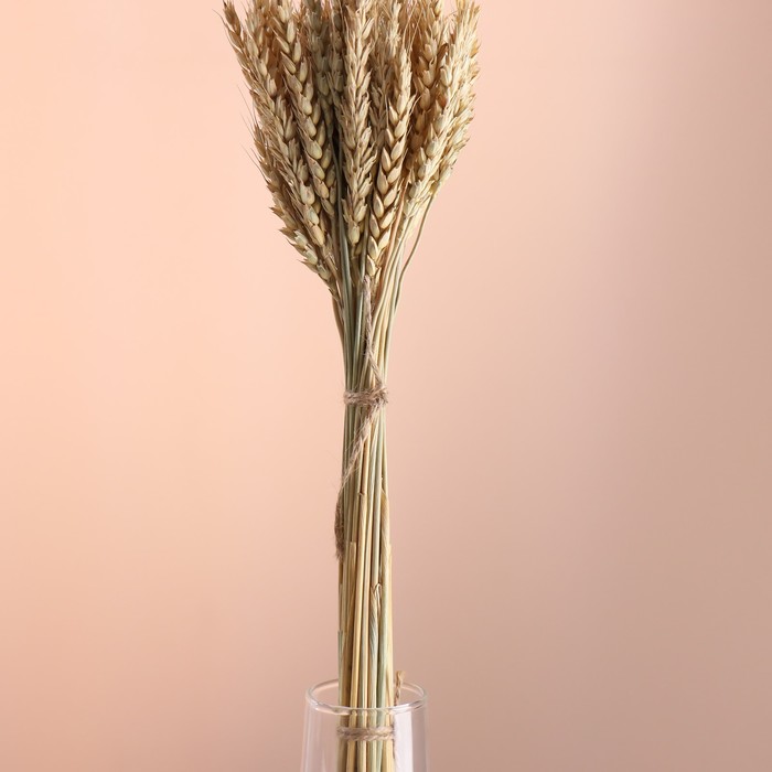 Набор сухоцветов "Пшеница", банч 35-40 шт, длина 60-65 (+/- 6 см), натуральный
