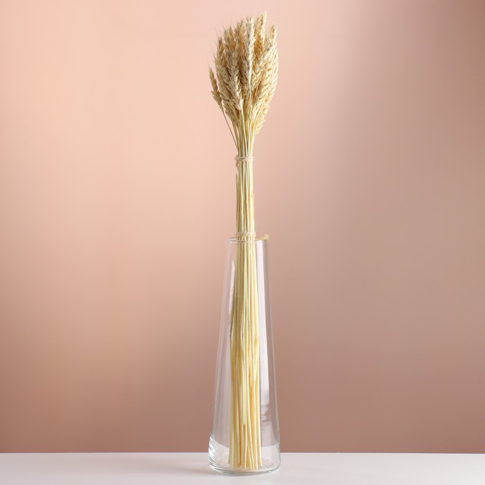 Набор сухоцветов "Пшеница", банч 35-40 шт, длина 55-65 (+/- 6 см), выбеленный