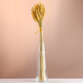 Набор сухоцветов "Пшеница", банч 35-40 шт, длина 60-65 (+/- 6 см), желтый