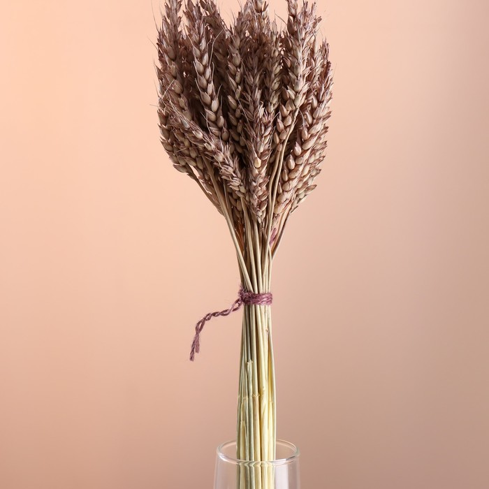 Набор сухоцветов "Пшеница", банч 35-40 шт, длина 55-65 (+/- 6 см), коричневый