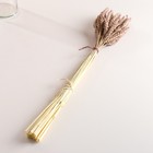 Набор сухоцветов "Пшеница", банч 35-40 шт, длина 55-65 (+/- 6 см), коричневый - фото 24000977