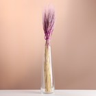 Набор сухоцветов "Рожь", банч 35-40 шт, длина 50-65 (+/- 6 см), сиреневый - фото 321519576