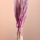 Набор сухоцветов "Рожь", банч 35-40 шт, длина 50-65 (+/- 6 см), сиреневый - фото 24000995